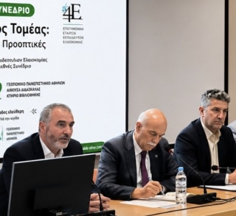 «Η ουσιαστική στήριξη του ελαιοκομικού τομέα είναι αυτονόητη προτεραιότητα για το ΠΑΣΟΚ» 